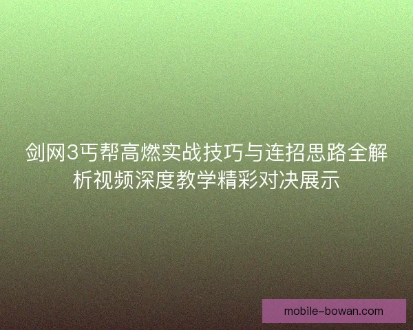 剑网3丐帮高燃实战技巧与连招思路全解析视频深度教学精彩对决展示